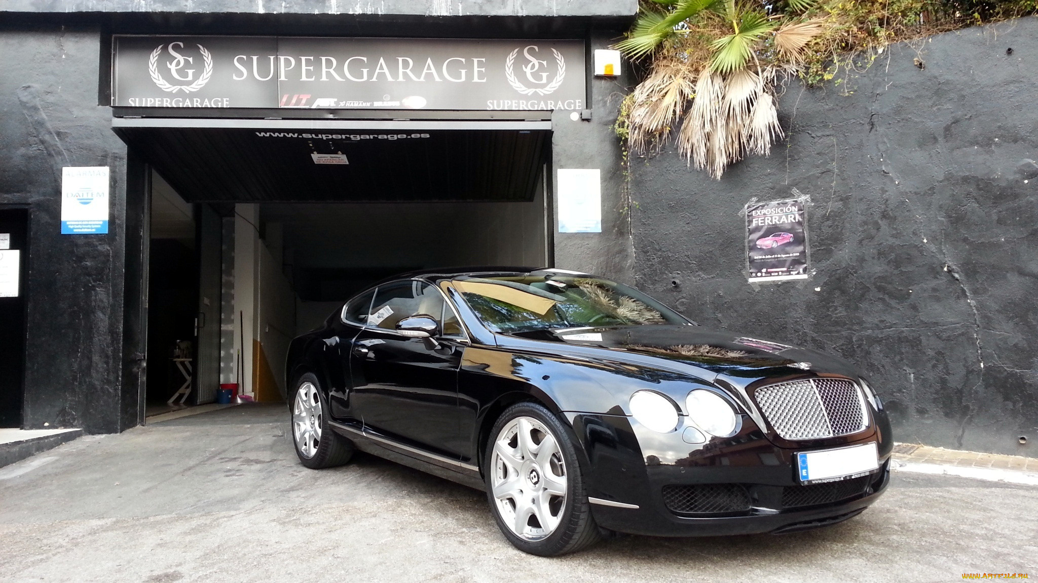 bentley, continental, gt, , , , motors, -